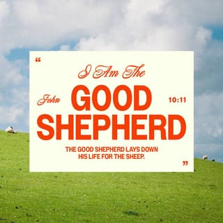 John 10:11-18 - I am the good shepherd: the good shepherd giveth his life for the sheep. But he that is an hireling, and not the shepherd, whose own the sheep are not, seeth the wolf coming, and leaveth the sheep, and fleeth: and the wolf catcheth them, and scattereth the sheep. The hireling fleeth, because he is an hireling, and careth not for the sheep. I am the good shepherd, and know my sheep, and am known of mine. As the Father knoweth me, even so know I the Father: and I lay down my life for the sheep. And other sheep I have, which are not of this fold: them also I must bring, and they shall hear my voice; and there shall be one fold, and one shepherd. Therefore doth my Father love me, because I lay down my life, that I might take it again. No man taketh it from me, but I lay it down of myself. I have power to lay it down, and I have power to take it again. This commandment have I received of my Father.