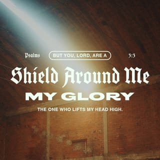 Psalm 3:3-4 - But thou, O LORD, art a shield for me;
My glory, and the lifter up of mine head.
I cried unto the LORD with my voice,
And he heard me out of his holy hill. Selah.
