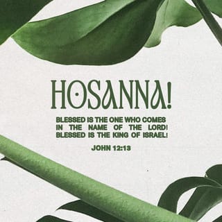 John 12:13 - took branches of palm trees and went out to meet Him, and cried out:
“Hosanna!
‘Blessed is He who comes in the name of the LORD!’
The King of Israel!”