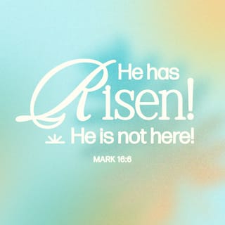 Mark 16:5-6 - And entering the tomb, they saw a young man clothed in a long white robe sitting on the right side; and they were alarmed.
But he said to them, “Do not be alarmed. You seek Jesus of Nazareth, who was crucified. He is risen! He is not here. See the place where they laid Him.