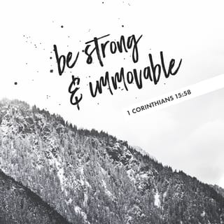 1 Corinthians 15:58 - So now, beloved ones, stand firm, stable, and enduring. Live your lives with an unshakable confidence. We know that we prosper and excel in every season by serving the Lord, because we are assured that our union with the Lord makes our labor productive with fruit that endures.