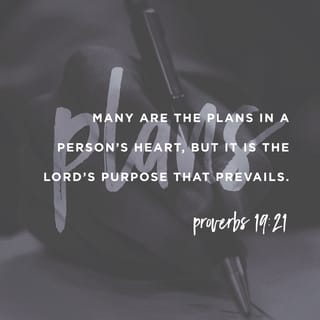 Proverbs 19:21 - A person may have many ideas concerning God’s plan for his life,
but only the designs of God’s purpose will succeed in the end.
