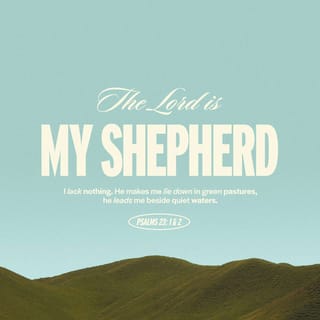 Psalms 23:1-2 - The LORD is my shepherd;
I have all that I need.
He lets me rest in green meadows;
he leads me beside peaceful streams.