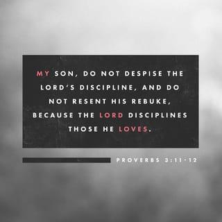 Proverbs 3:11 - My son, do not despise the LORD’s discipline,
and do not resent his rebuke