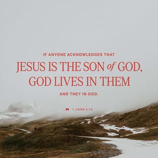 1 John 4:15 - Whoever confesses that Jesus is the Son of God, God abides in him, and he in God.