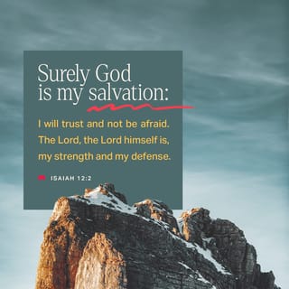 Isaiah 12:2-6 - God is the one who saves me;
I will trust him and not be afraid.
The LORD, the LORD gives me strength and makes me sing.
He has saved me.”
You will receive your salvation with joy
as you would draw water from a well.
At that time you will say,
“Praise the LORD and worship him.
Tell everyone what he has done
and how great he is.
Sing praise to the LORD, because he has done great things.
Let all the world know what he has done.
Shout and sing for joy, you people of Jerusalem,
because the Holy One of Israel does great things before your eyes.”