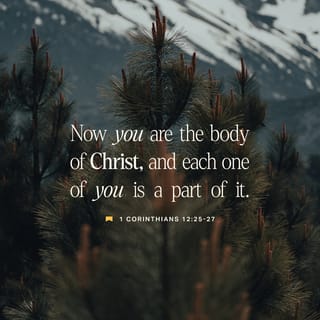 1 Corinthians 12:25 - So that there should be no division or discord or lack of adaptation [of the parts of the body to each other], but the members all alike should have a mutual interest in and care for one another.