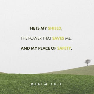 Psalms 18:2 - The LORD is my solid rock,
my fortress, my rescuer.
My God is my rock—
I take refuge in him!—
he’s my shield,
my salvation’s strength,
my place of safety.