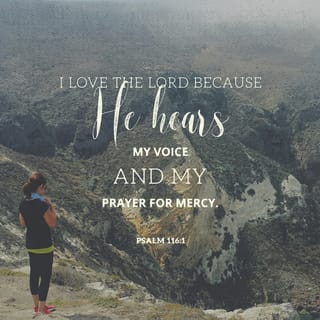 Psalms 116:1 - I love the LORD, because He hears [and continues to hear]
My voice and my supplications (my pleas, my cries, my specific needs).