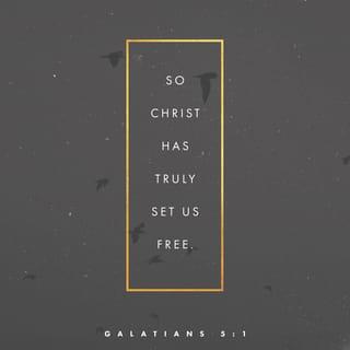 Galatians 5:1-12 - It is for freedom that Christ has set us free. Stand firm, then, and do not let yourselves be burdened again by a yoke of slavery.
Mark my words! I, Paul, tell you that if you let yourselves be circumcised, Christ will be of no value to you at all. Again I declare to every man who lets himself be circumcised that he is obligated to obey the whole law. You who are trying to be justified by the law have been alienated from Christ; you have fallen away from grace. For through the Spirit we eagerly await by faith the righteousness for which we hope. For in Christ Jesus neither circumcision nor uncircumcision has any value. The only thing that counts is faith expressing itself through love.
You were running a good race. Who cut in on you to keep you from obeying the truth? That kind of persuasion does not come from the one who calls you. “A little yeast works through the whole batch of dough.” I am confident in the Lord that you will take no other view. The one who is throwing you into confusion, whoever that may be, will have to pay the penalty. Brothers and sisters, if I am still preaching circumcision, why am I still being persecuted? In that case the offense of the cross has been abolished. As for those agitators, I wish they would go the whole way and emasculate themselves!