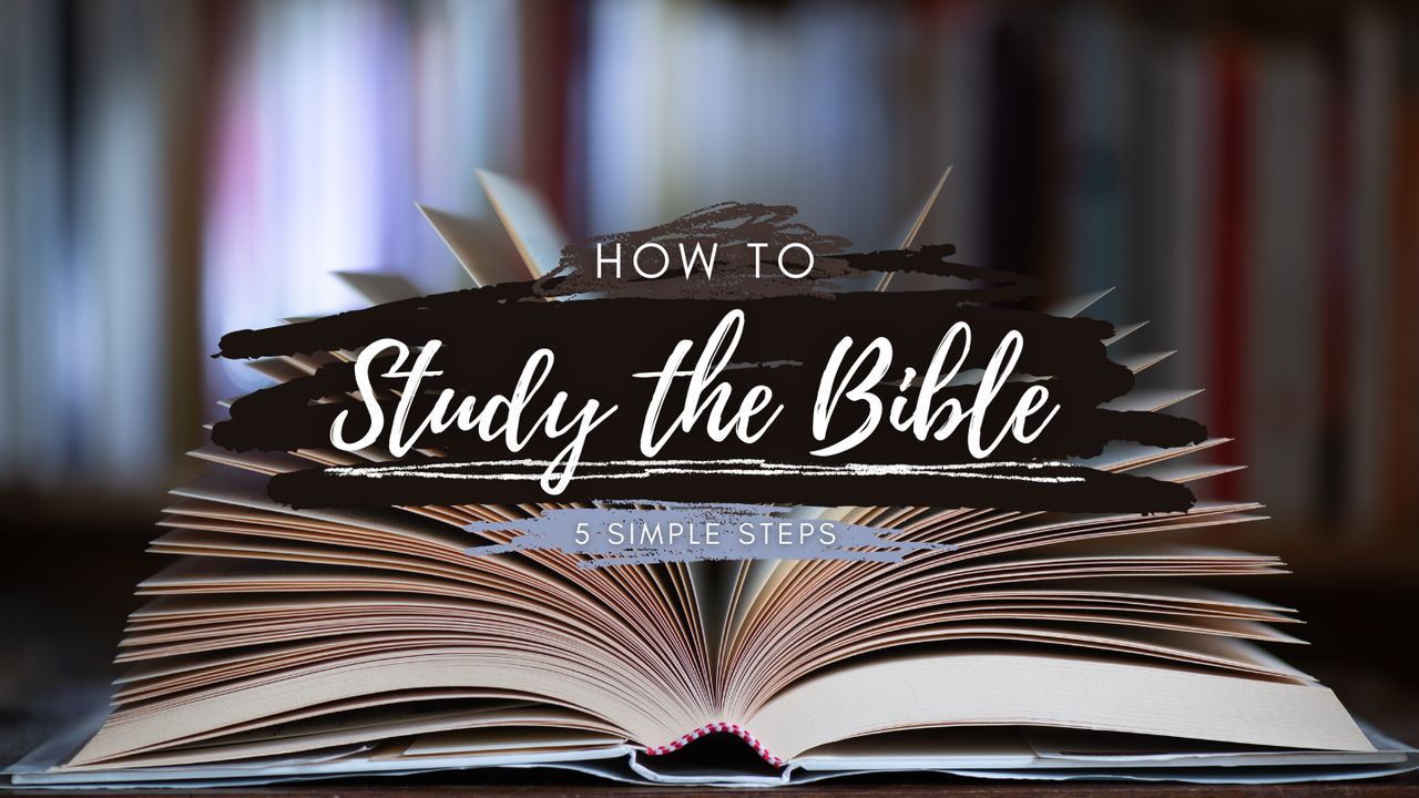 How to Study the Bible: 5 Simple Steps