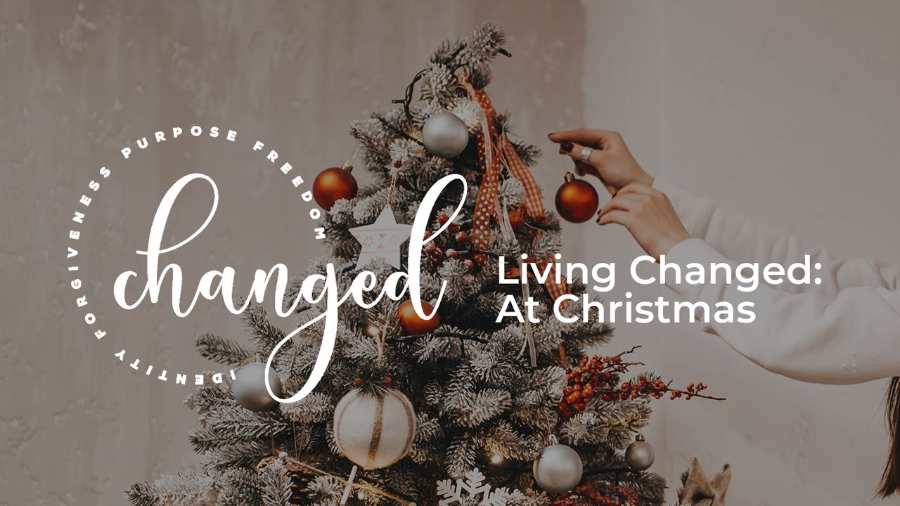 Vivendo Transformada: No Natal