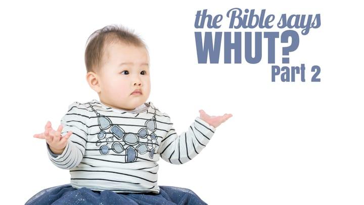 The Bible Says Whut? Part 2: Who's In Charge?