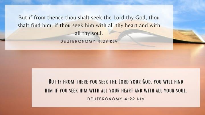 Reflection - Deuteronomy 4:29