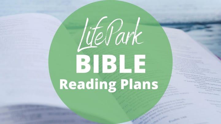 Bible Reading Plans for 2022