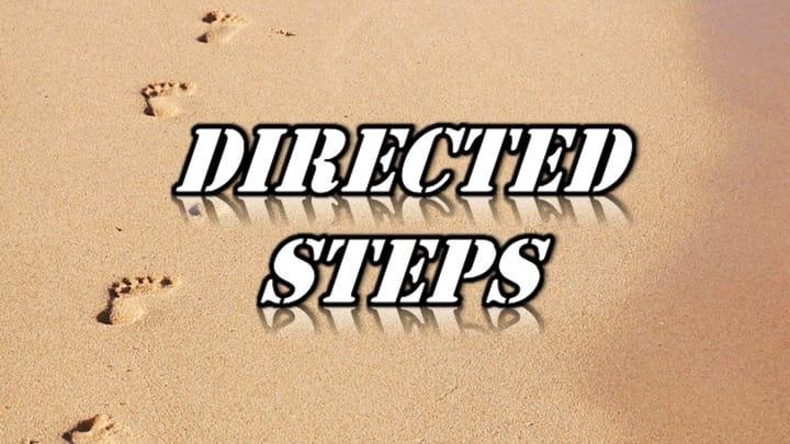 DIRECTED STEPS