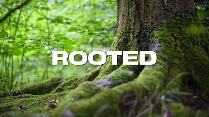 Rooted in Priority