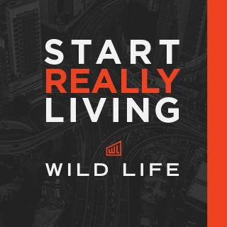 Wild Life—Začni skutečně žít