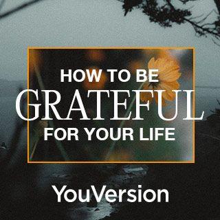 Jak být za svůj život vděční
