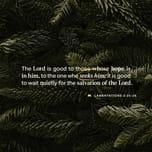 Bible verse of the Day - day June 14, 2024 - image 3