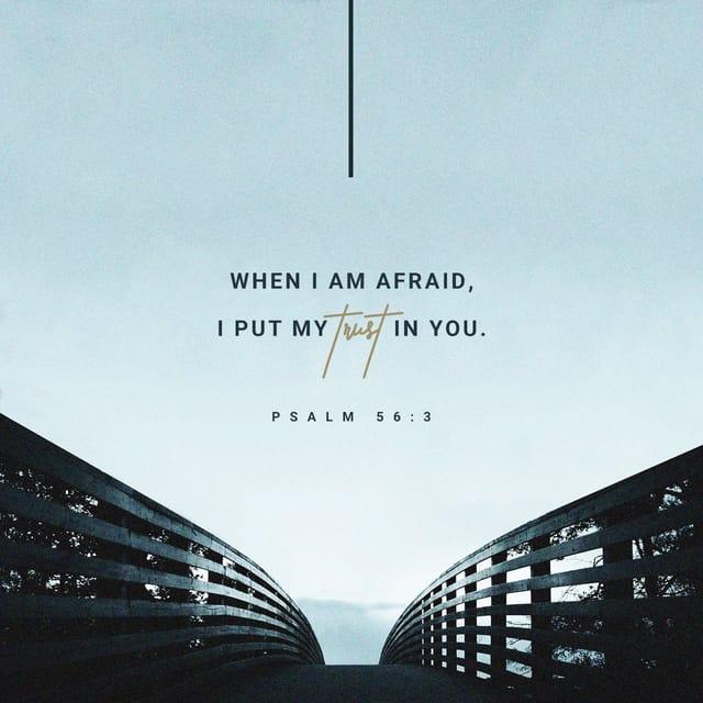 Psalms 56:3 - When I am afraid, I put my trust in you.