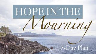 Hope In The Mourning Reading Plan Deuteronomy 29:29 New Living Translation
