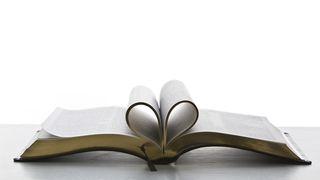 ¡Amar como Dios nos ama! ¡Servir como Jesús sirvió! 2 Corintios 4:3-9 La Biblia: La Palabra de Dios para todos