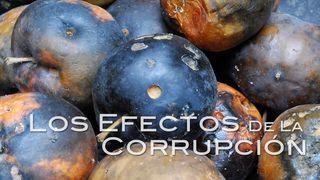 Los Efectos De La Corrupción 1 Timoteo 6:11-12 Nueva Traducción Viviente