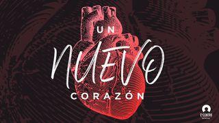 Un nuevo corazón Génesis 8:21-22 Nueva Versión Internacional - Español