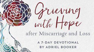 Grieving With Hope After Miscarriage And Loss By Adriel Booker Lamentations 3:19-24 New Revised Standard Version