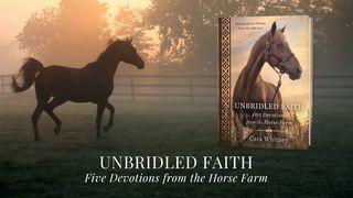 Unbridled Faith Colossians 4:2-4 New King James Version