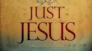 Just Jesus: Answers For Life Matthew 11:15 New International Version