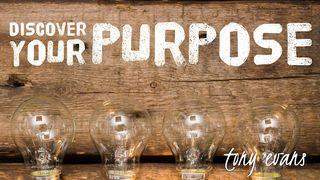Discover Your Purpose Salmos 138:8 Nueva Traducción Viviente