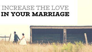 Increase The Love In Your Marriage Galatians 5:22-23 Amplified Bible, Classic Edition