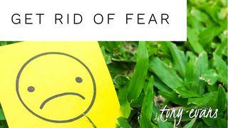Get Rid Of Fear Matthew 6:33 New Living Translation