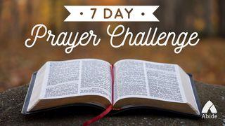7 Day Prayer Challenge Psalms 143:8 New International Version