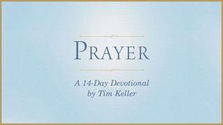 Prayer: A 14-Day Devotional by Tim Keller Job 38:1-7 New International Version