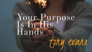 Your Purpose Is In His Hands 1 Corinthians 2:9-10 King James Version