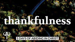 Thankfulness Luke 6:38 New International Version