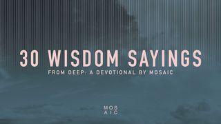 30 Wisdom Sayings Proverbs 22:29 New International Version