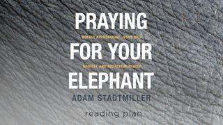 Praying For Your Elephant - Praying Bold Prayers 1 Corinthians 1:4-9 Amplified Bible, Classic Edition