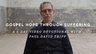 Gospel Hope Through Suffering: A 5-Day Video Devotional with Paul David Tripp Joshua 1:5-9 Amplified Bible
