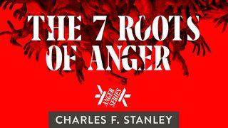 The 7 Roots Of Anger 1 Samuel 25:36-39 New International Version
