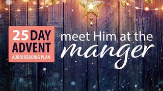 Advent | Meet Him At The Manger by Stuart and Jill Briscoe التكوين 10:49 كتاب الحياة