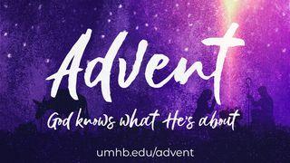 Advent - God Knows What He's About Psalms 31:15 New Living Translation