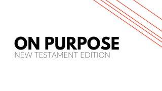 The New Testament On Purpose Ephesians 3:11-13 Christian Standard Bible
