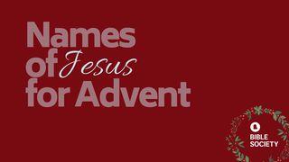 Names Of Jesus For Advent Matthew 20:34 New Living Translation