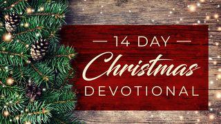 14 Days Christmas Devotional Isaiah 12:2-6 New Revised Standard Version