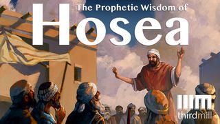 The Prophetic Wisdom Of Hosea Oseas 6:6 Biblia Reina Valera 1960