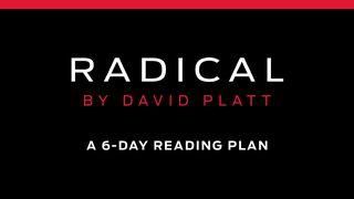 Radical by David Platt Psalms 5:5 New King James Version